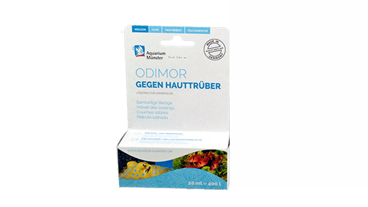 Aquarium Münster -  Odimor 20 ml