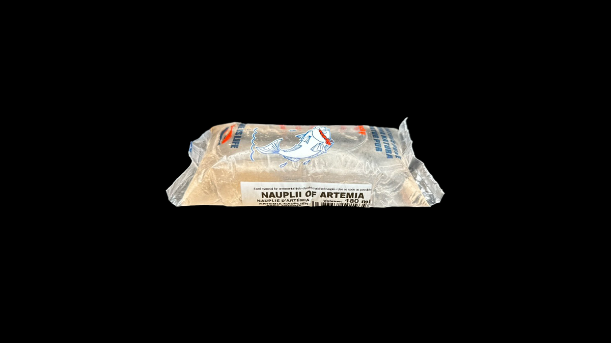 Frisch geschlüpfte Artemia Nauplien für Aquarienbewohner