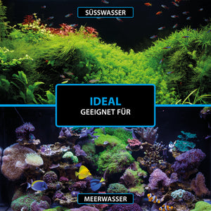 Aquarium-Wasseraufbereitung mit ARKA Bacto Shot