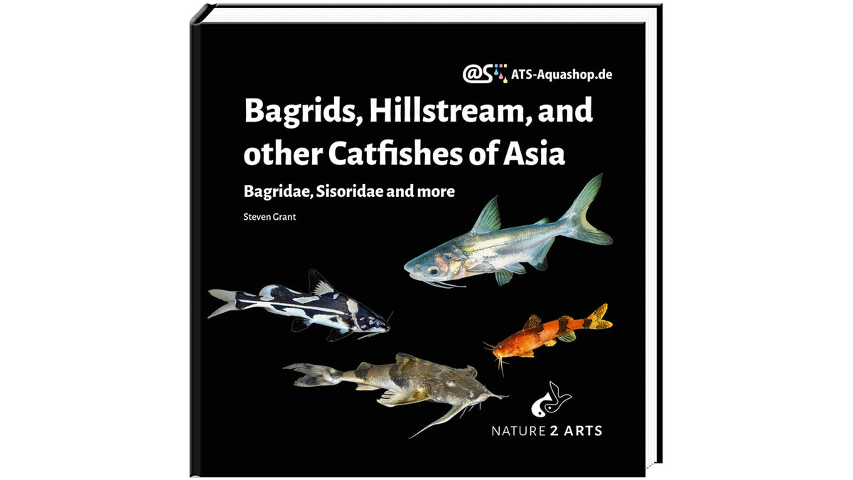 Bagrids Hillstream Catfishes Asia Buch Welse asiatische Welsarten Dähne Verlag