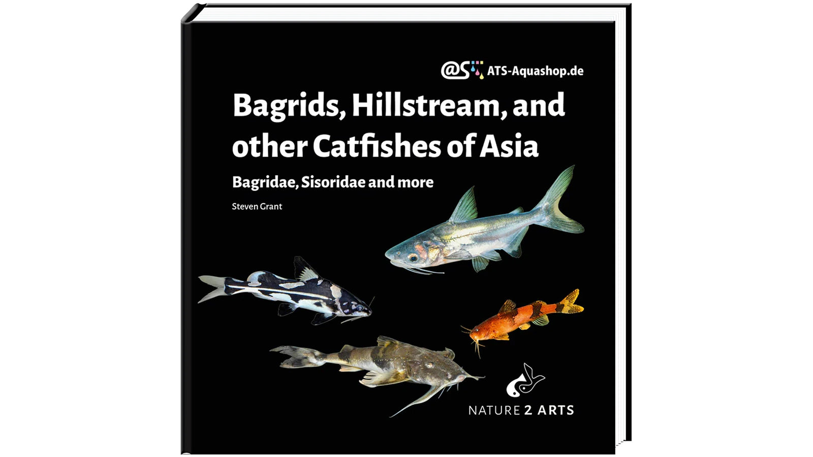 Bagrids Hillstream Catfishes Asia Buch Welse asiatische Welsarten Dähne Verlag