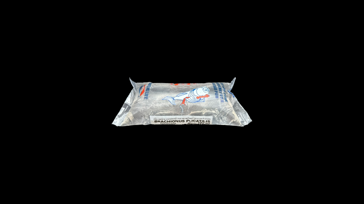 Brachionus plicatilis – Nahrhaftes Zooplankton für Aquarienbewohner
