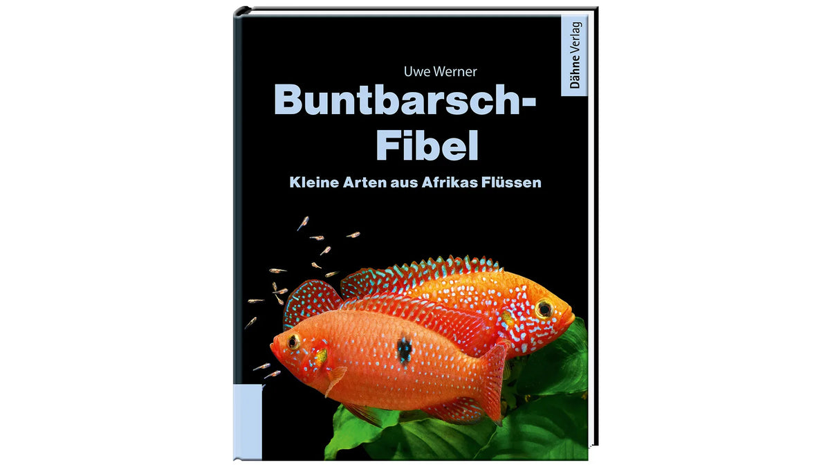 Buntbarsch-Fibel Afrika