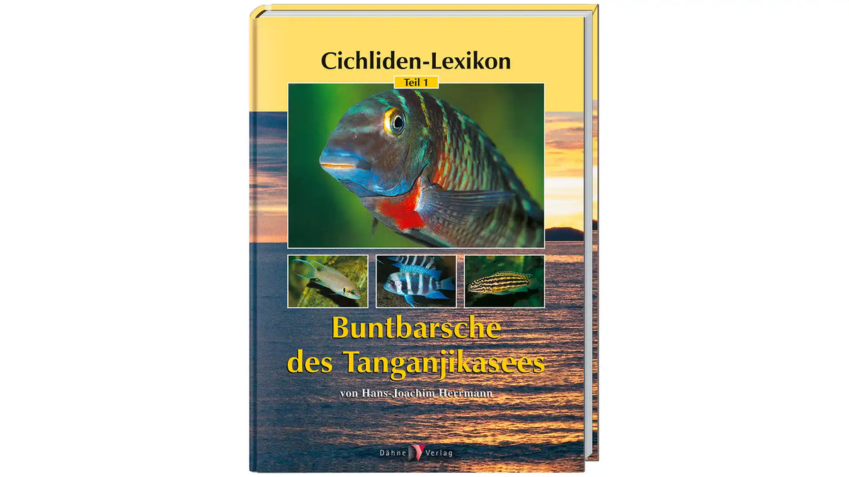 Buntbarsche des Tanganjikasees