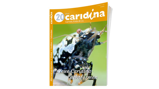 Dähne Verlag

2026/2 caridina