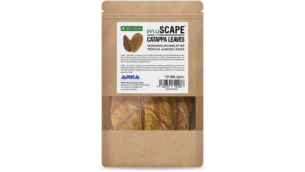 ARKA mySCAPE Catappa Leaves für tropische Aquarien