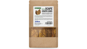 Natürliche Wasserpflege mit ARKA Catappa Leaves