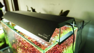 Chihiros Blende verspiegelt für WRGB2 + Slim 60 cm