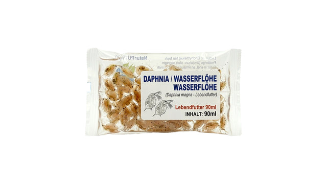 Daphnia / Wasserflöhe -  Lebendfutter 90ml