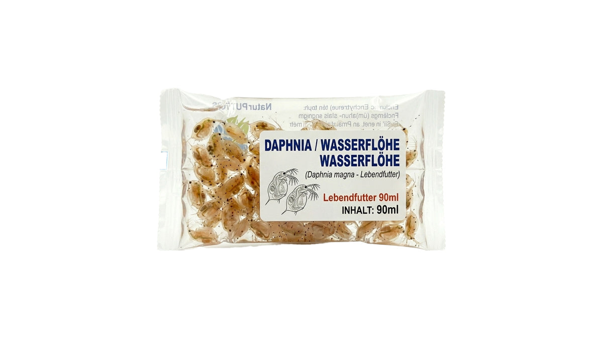 Daphnia / Wasserflöhe -  Lebendfutter 90ml