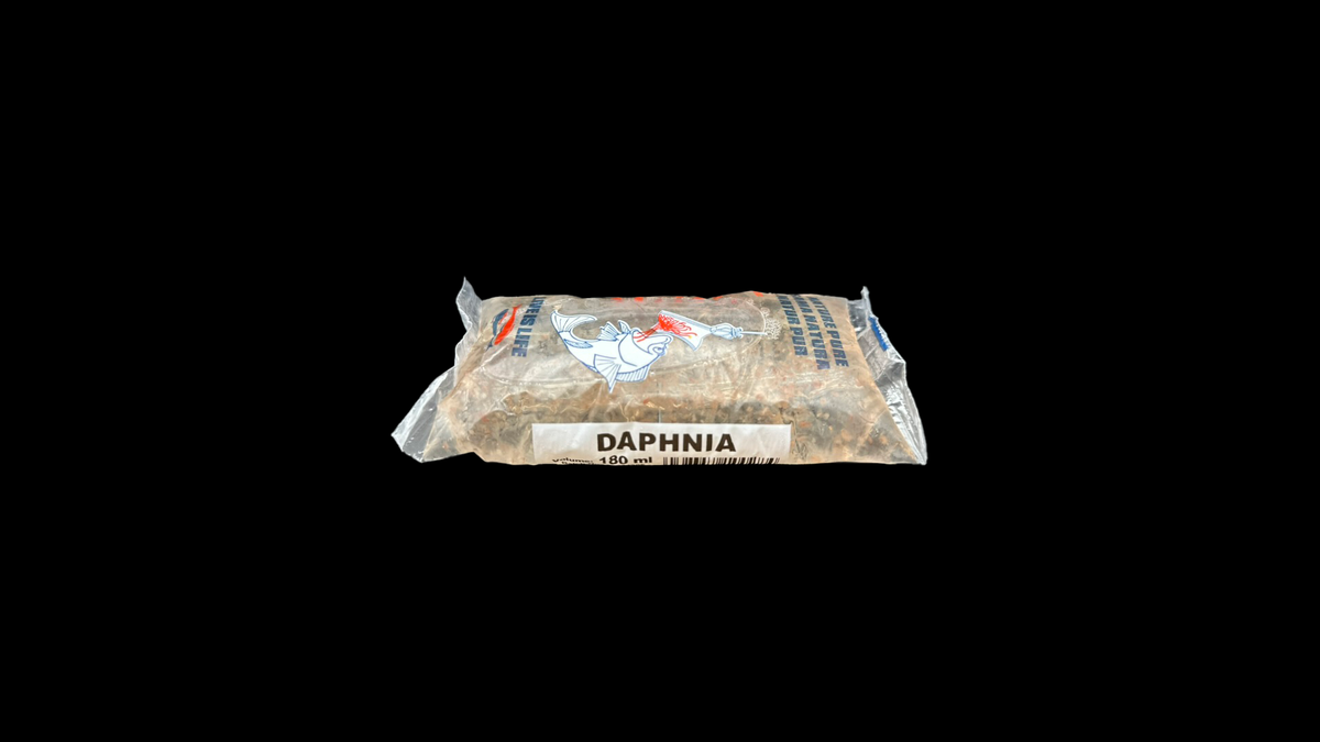 Daphnia – Proteinreiches Futter für Aquarienbewohner
