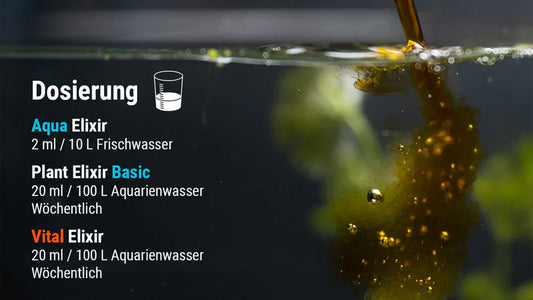 Praktische Anwendung der Dennerle Pflegekomponenten in einem bepflanzten Aquascape zur Stabilisierung der Wasserwerte nach dem Wasserwechsel. Das Bild verdeutlicht die einfache Dosierung und die sofortige Wirkung für klares Wasser und vitale Garnelen.