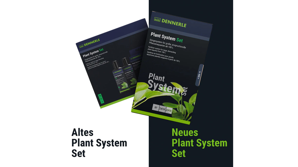 Vergleichsdarstellung der Pflanzenentwicklung unter Nutzung des Dennerle Plant System Sets zur effektiven Algenkontrolle und Wachstumsförderung. Diese Aufnahme demonstriert die hohe Wirksamkeit der Mineralien und Spurenelemente für eine dichte Unterwasserlandschaft.