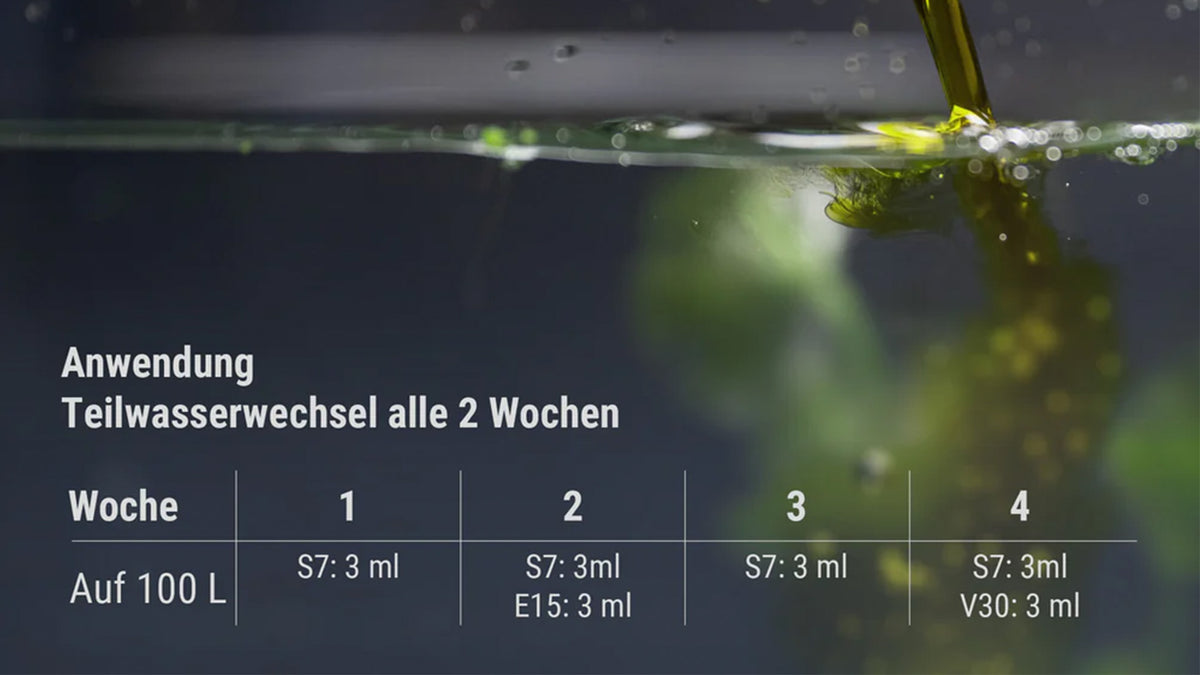 Eine Illustration der einfachen Anwendung des Dennerle Düngersystems zur täglichen oder wöchentlichen Nährstoffergänzung. Das Bild zeigt die präzise Dosierbarkeit der Komponenten, die speziell für die Sicherheit von Garnelen und Fischen im Aquarium entwickelt wurden.