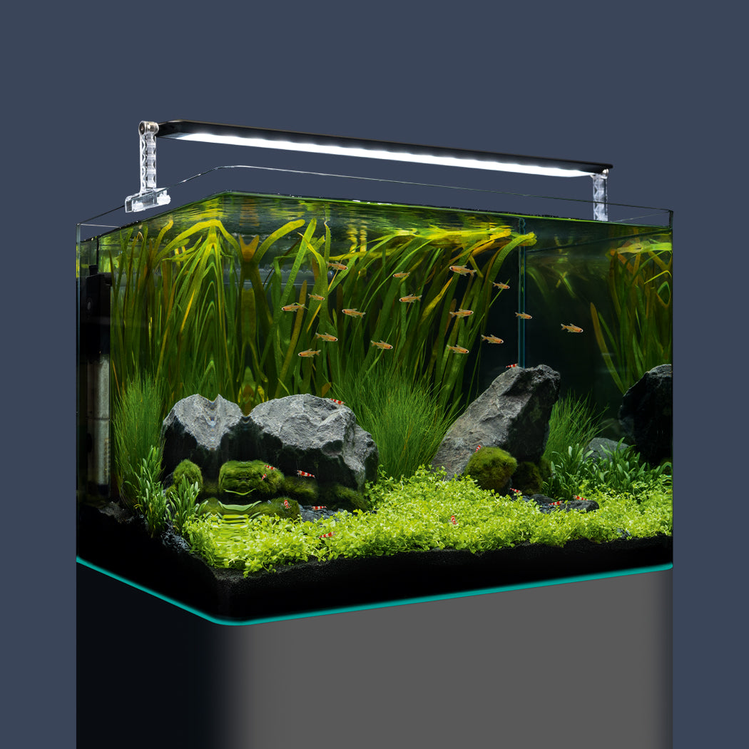 Dennerle Nano Tank mit Sicherheitsunterlage und Abdeckscheibe
