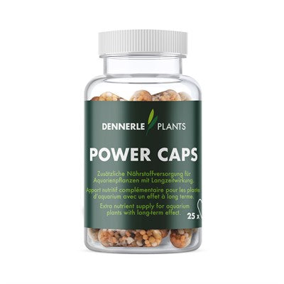 Dennerle Power Caps für gesundes Pflanzenwachstum