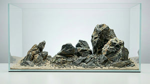 Hardscape Aquarium mit Detail Stones