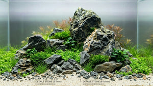 Aqauscaping Detail Stones im Aquarium
