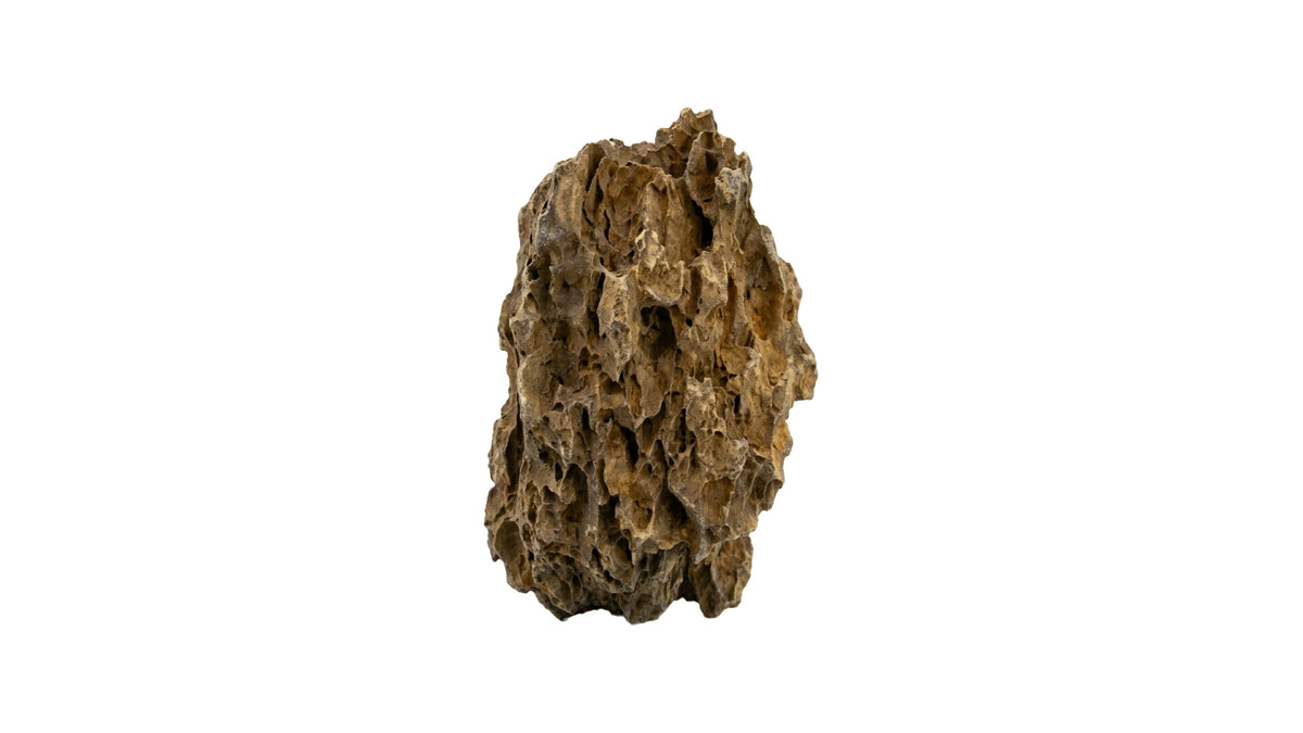 Drachenstein - Hardscape Steine