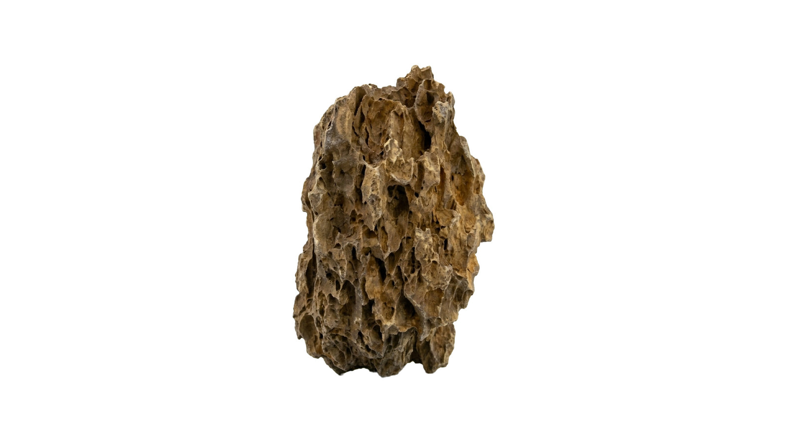 Drachenstein - Hardscape Steine für Aquascaping