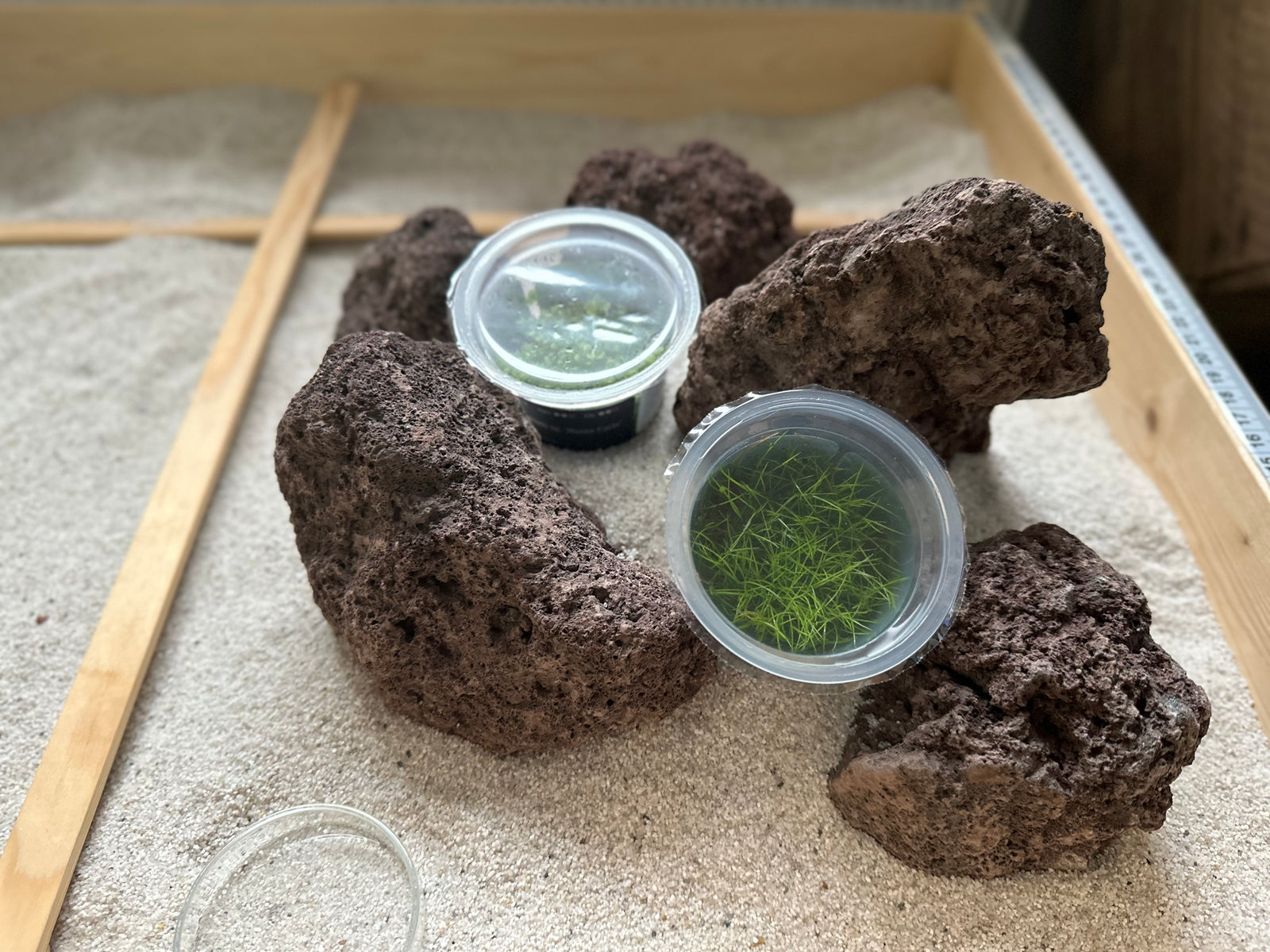 Lava Stein IWAGUMI Aquascape