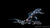 Elfenwels Acanthicus adonis im Aquarium