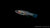 Endler Guppy Black Flame Weibchen im Aquarium