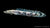 Endlichers Flösselhecht Polypterus endlicherii im Aquarium