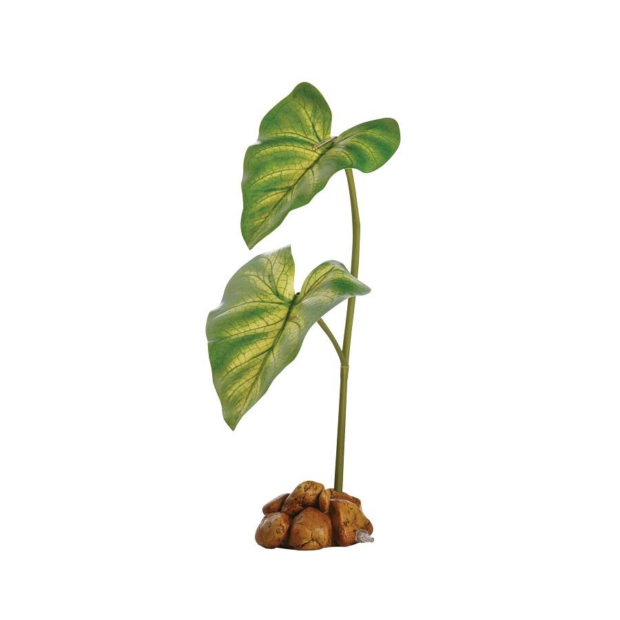 EXO TERRA Dripper Plant Small Tropfpflanze für Terrarien