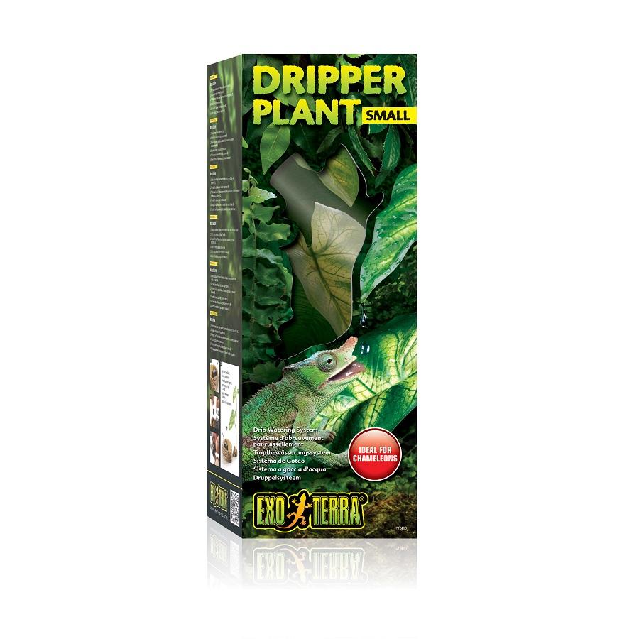 EXO TERRA Dripper Plant Small Tropfpflanze für Terrarien
