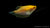 Fadenfisch Gold (Trichogaster trichopterus) swimming in aquarium