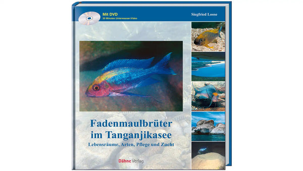 Fadenmaulbrüter im Tanganjikasee