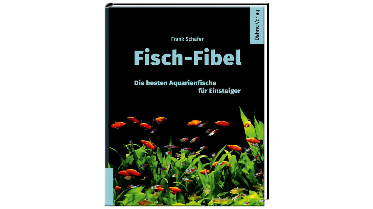 Fisch-Fibel Buch Frank Schäfer Aquarienfische Einsteiger Dähne Verlag