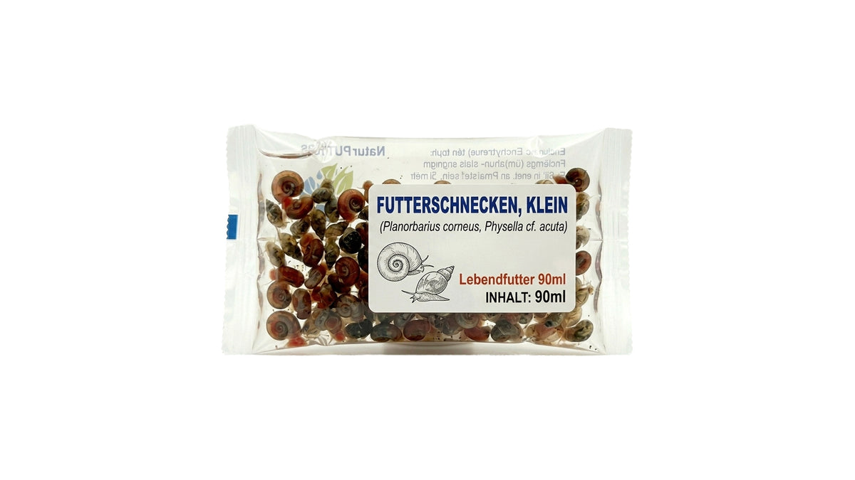 Futterschnecken, klein (Planorbarius corneus, Physella cf. acuta) -  Lebendfutter 90ml