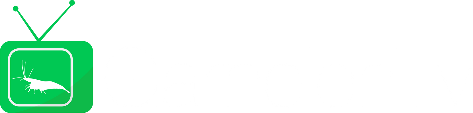 Garnelen und Aquascaping Online Shop