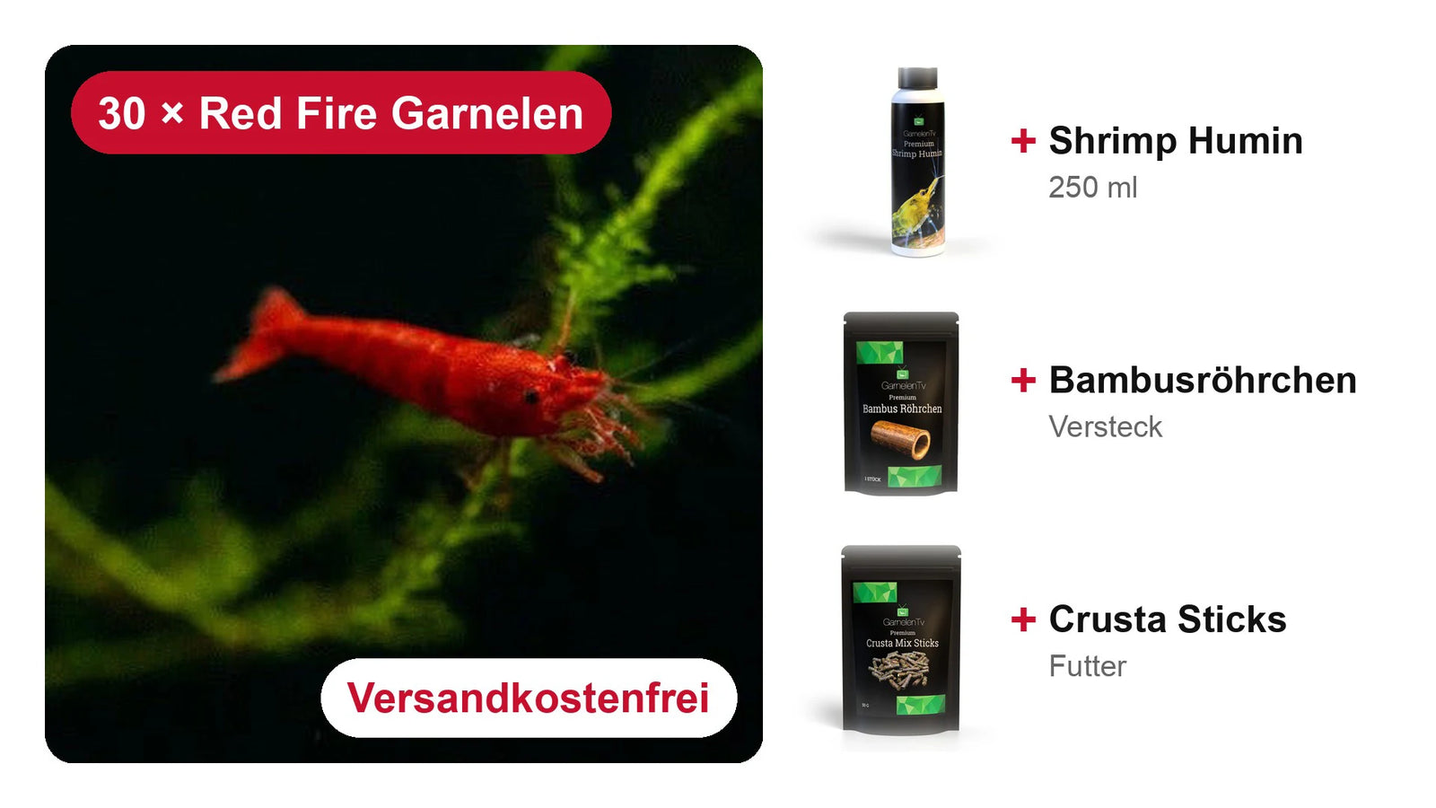 Garnelen Starterset Rot – 30 Red Fire Garnelen + Shrimp Humin, Bambusröhrchen & Crusta Sticks