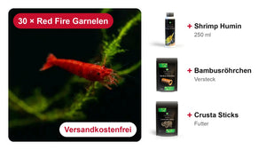 Garnelen Starterset Rot – 30 Red Fire Garnelen + Shrimp Humin, Bambusröhrchen & Crusta Sticks