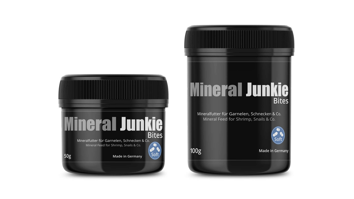 GlasGarten - Mineral Junkie Bites