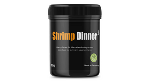 Shrimp Dinner von Glasgarten
