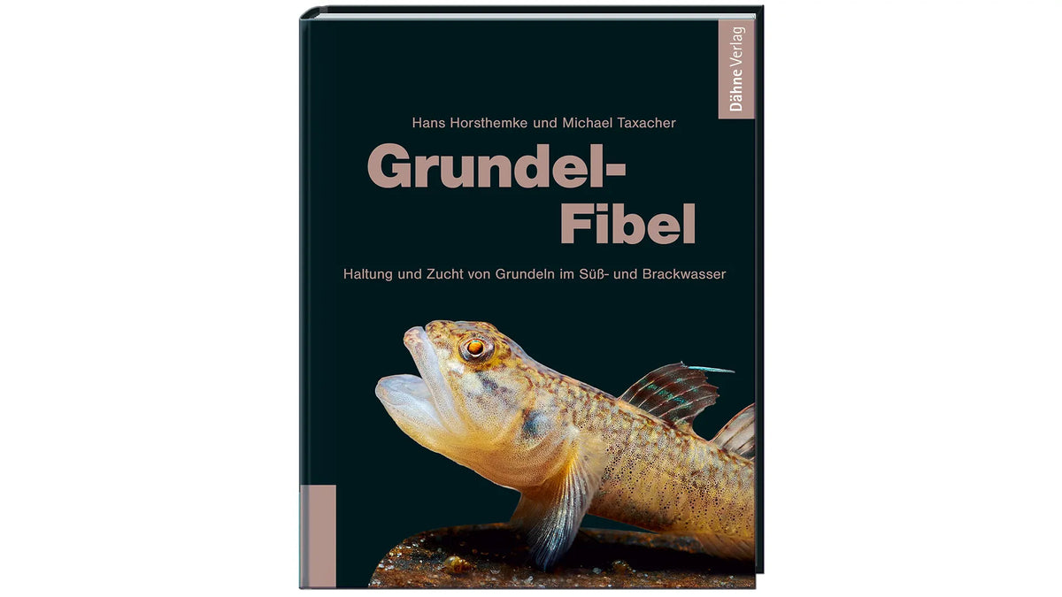 Buch über Grundeln in der Süßwasseraquaristik. Eine Grundel sitzt auf einem Stein mit Mund offen.
