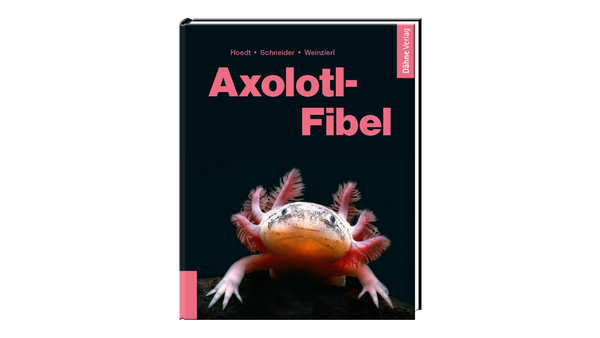 Axolotl-Fibel - Werner Hoedt, Maite Schneider und Friederike Weinzierl