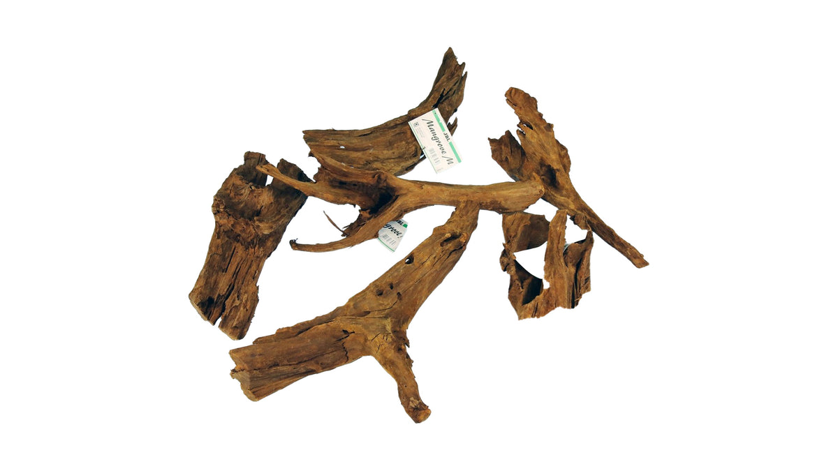 JBL Mangrovenwurzel - Mangrovenholz-Wurzel für Aquarien "M" - GarnelenTv-Shop