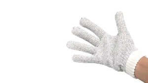 JBL PROSCAPE CLEANING GLOVE - GarnelenTv-Shop
