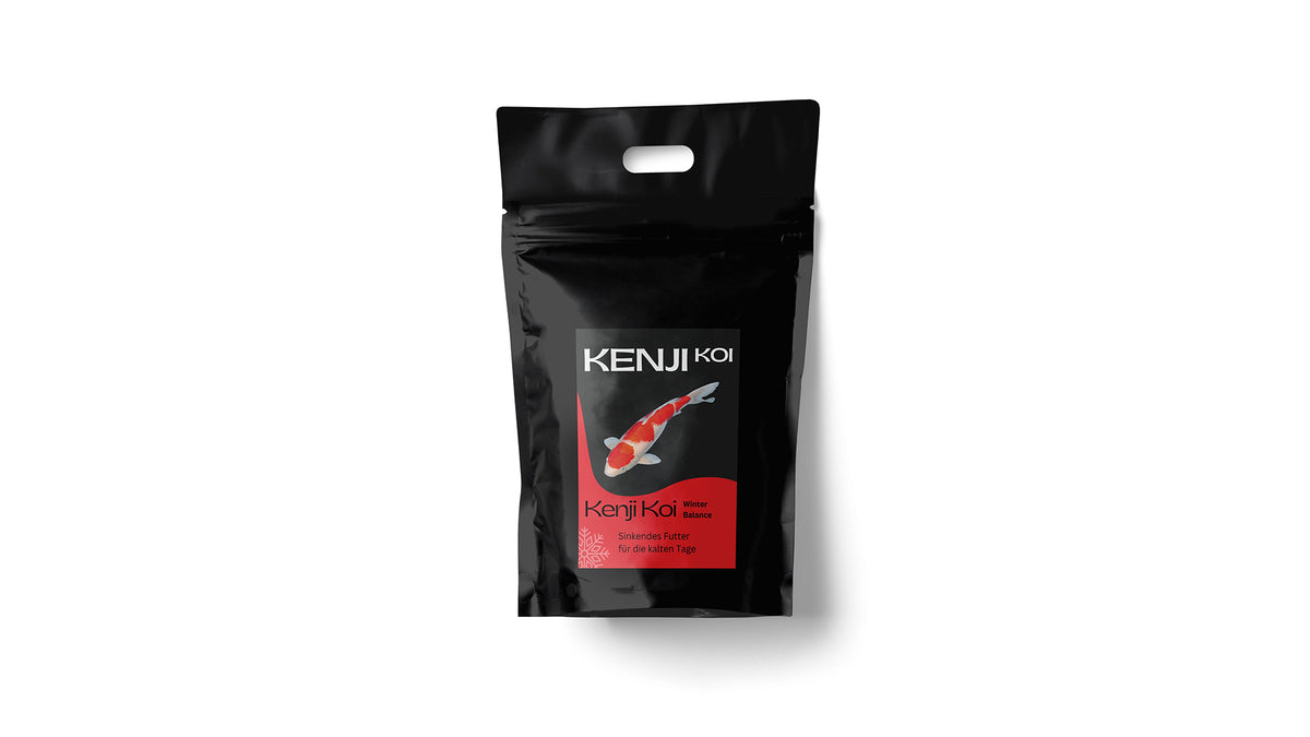 KENJI KOI Winter Balance - sinkend