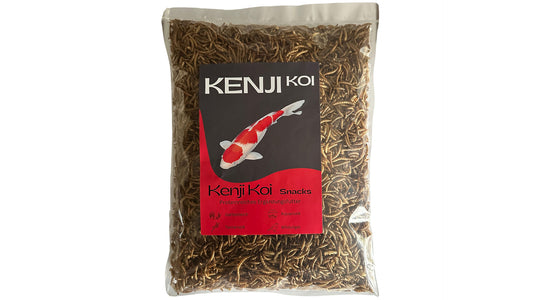 KENJI_KOI_Snack_Mehlwuermer