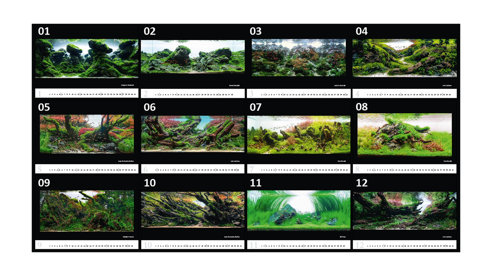 Aquariumdesign 2025 Kalender – Aquascapes von Frederic Fuß
