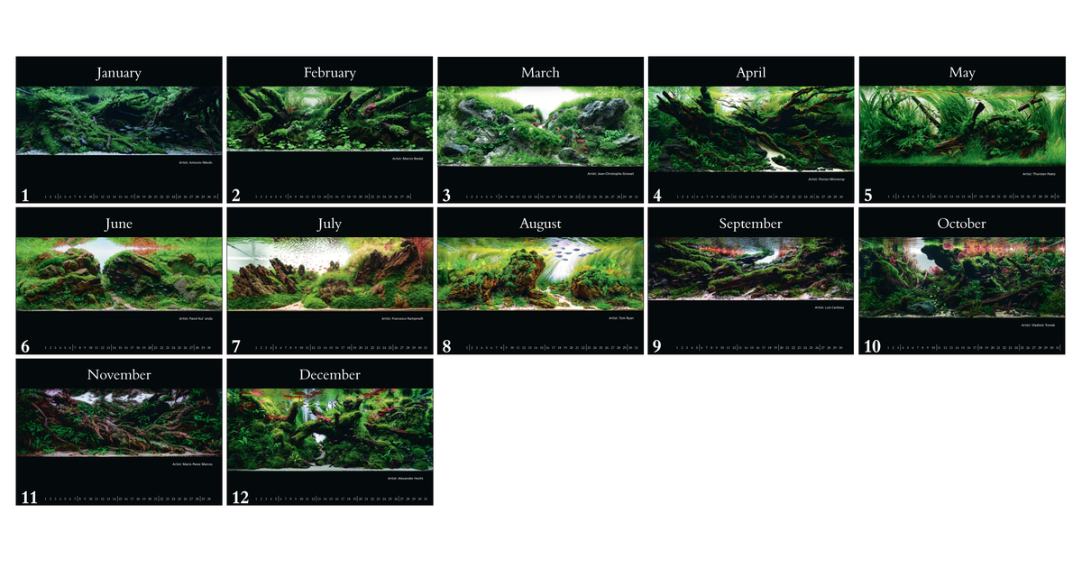 Aquariumdesign 2027 Wandkalender Aquascape Meisterwerke Europa Dähne Verlag