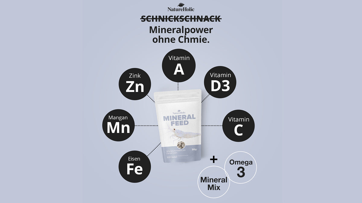 NatureHolic Mineralfeed Garnelenfutter 30 g als mineralreiche Pads für Garnelen, Krebse, Krabben und Schnecken