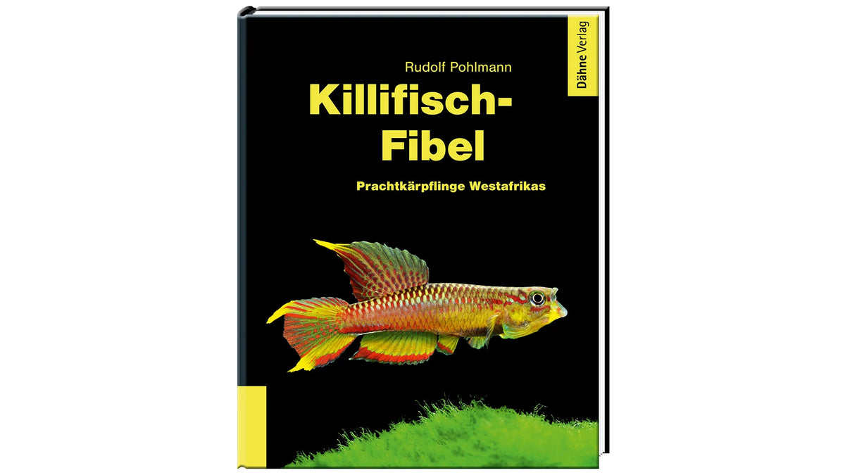 Killifisch-Fibel Buch Rudolf Pohlmann Prachtkärpflinge Westafrika Dähne Verlag