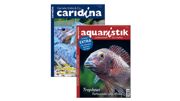 Kombi-Abo aquaristik & caridina